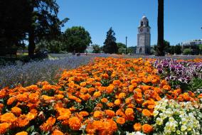 Blenheim Park in Summer