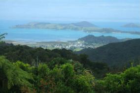Coromandel Township