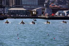 Wellington Dragon Boat Festival 2014