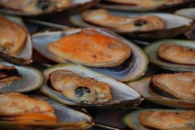 Havelock Smoked Mussels