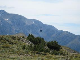 Helicopter Arrives at the top of Mt Fyffe