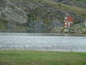 Interesting House Otago