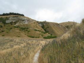 Kaikoura Peninsula Walkway