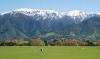 Kaikoura Sheep Farm