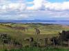 Lovely Lake Taupo Landscape