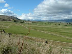 Otago Central Rail Trail Landscape
