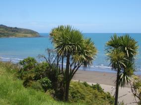 Raglan Beach