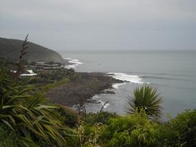 Raglan's Whale Bay
