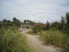 Te Parapara Maori Garden 2